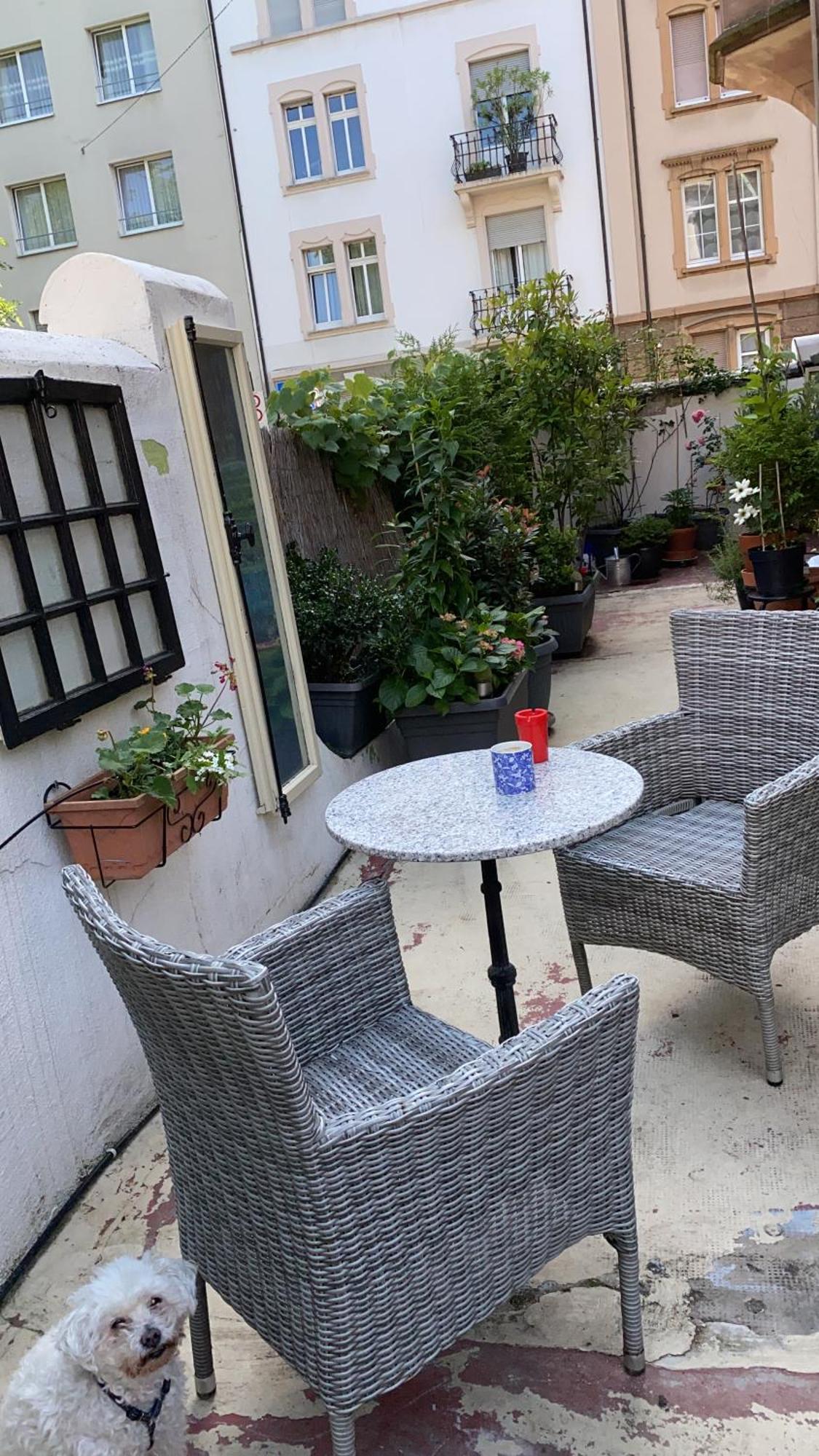 Georgian Guest Rooms バーゼル エクステリア 写真